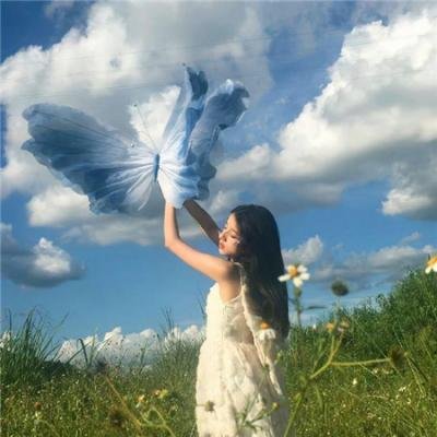 王之逆袭:意志的继承者